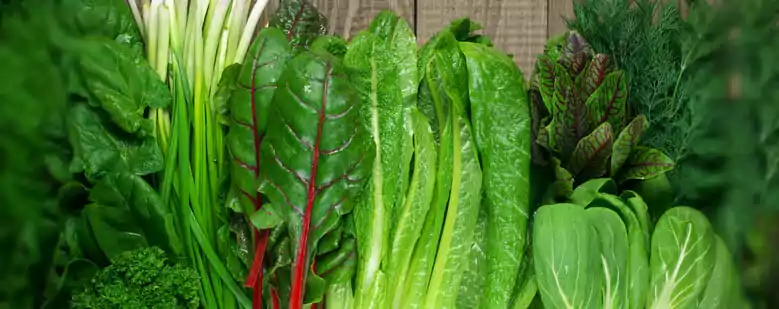 Green Leafy vegetables are rich in Vitamin E