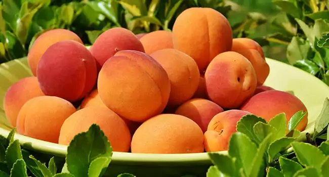 Best Fruits for Diabetics - Peaches