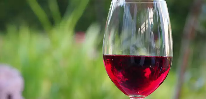 healthy but delicious foods - Red Wine