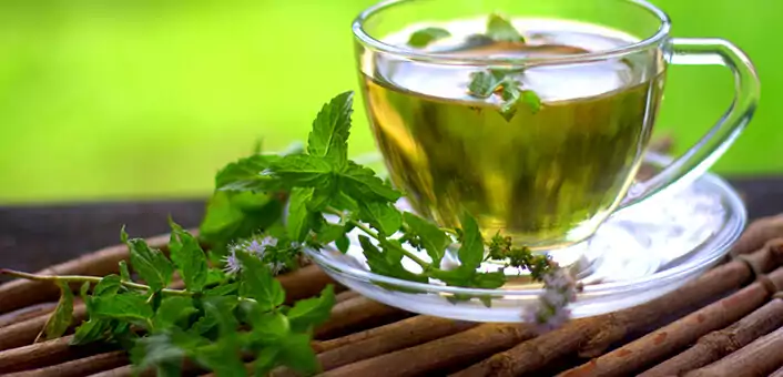 Does Spearmint Tea Really Have Anti-Androgenic Effects?