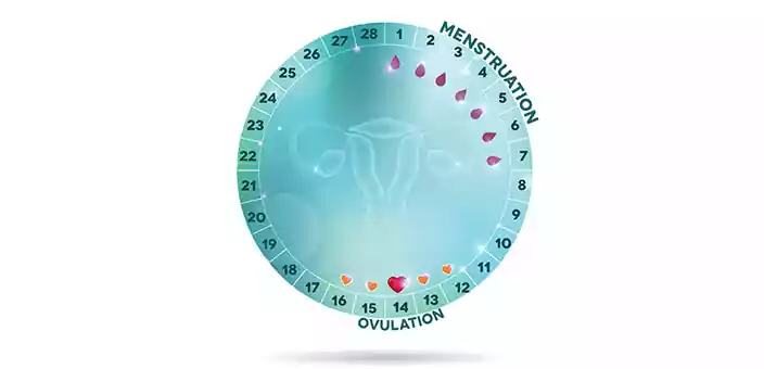 ovulate naturally in pcos
