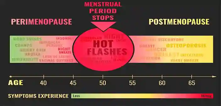 Menopause Hot Flashes Causes Natural Treatment