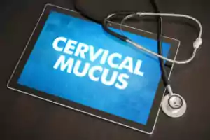 Cervical Mucus