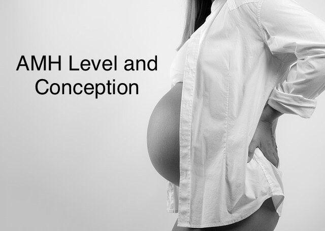 amh level and conception
